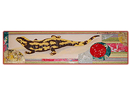 Lizard